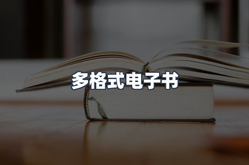 海外电子书